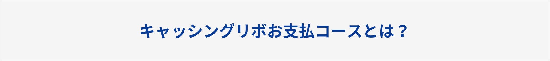 キャッシングリボお支払コースとは？