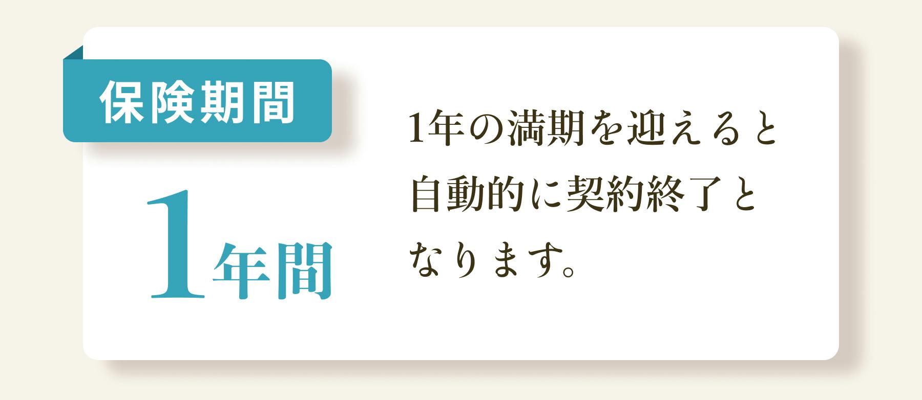 保険期間1年間