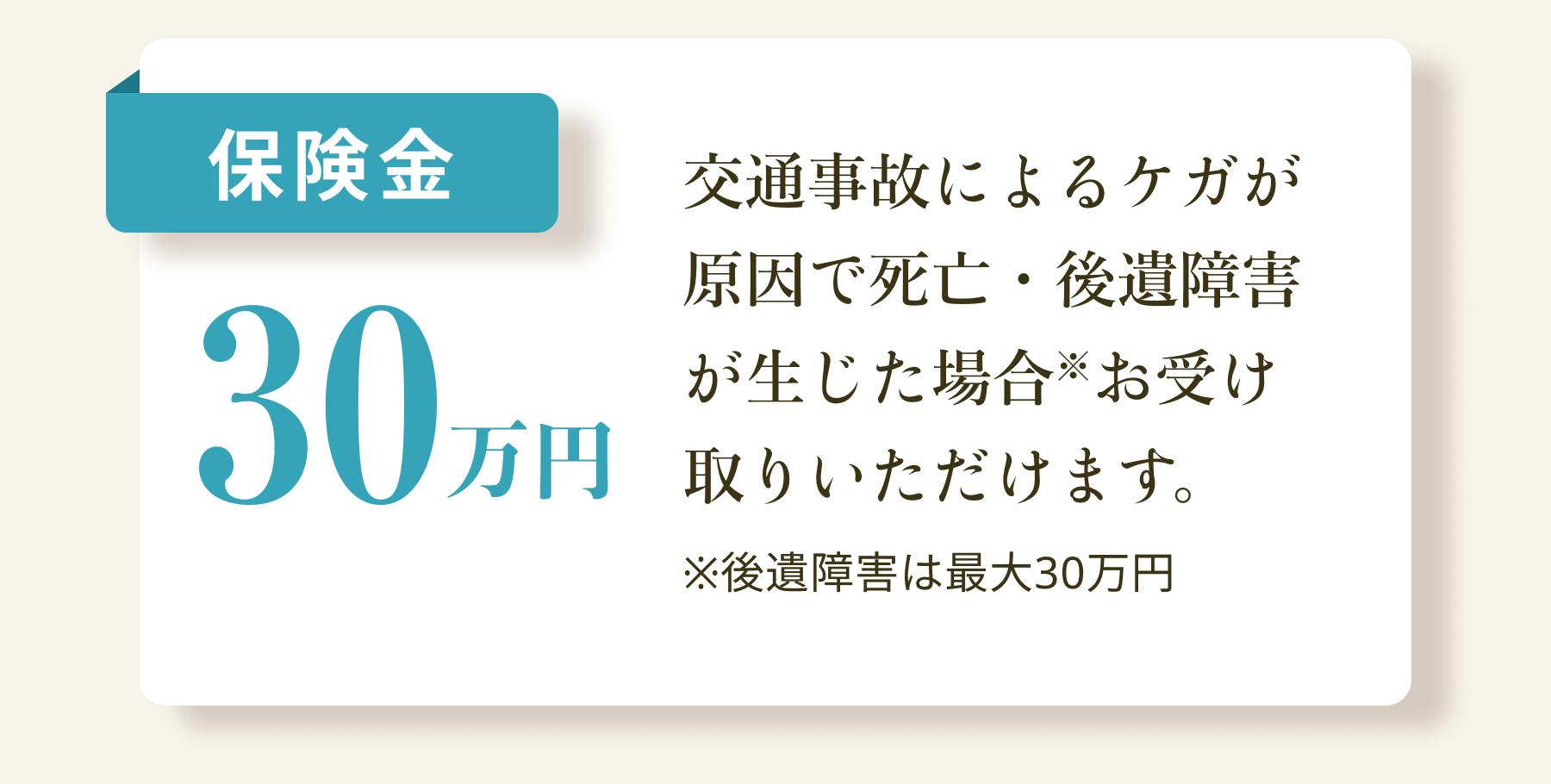保険金30万円