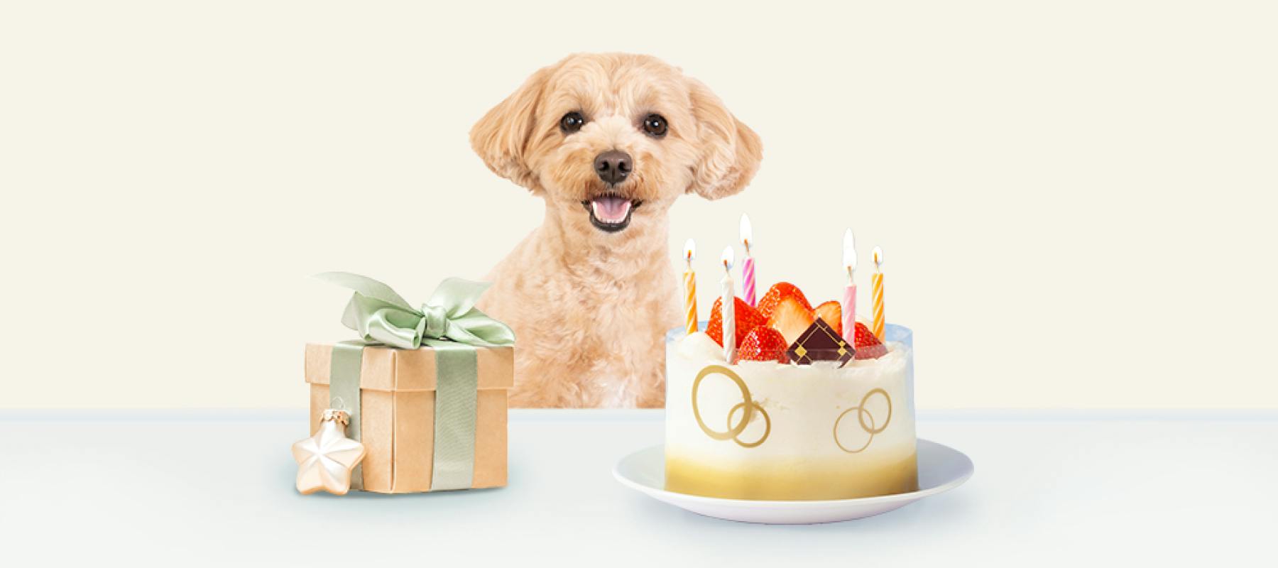 お誕生日おめでとうございます！