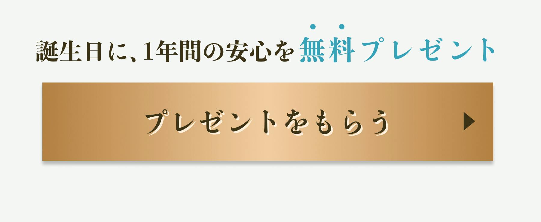 誕生日に、1年間の安心を無料プレゼント！こちらをクリック！